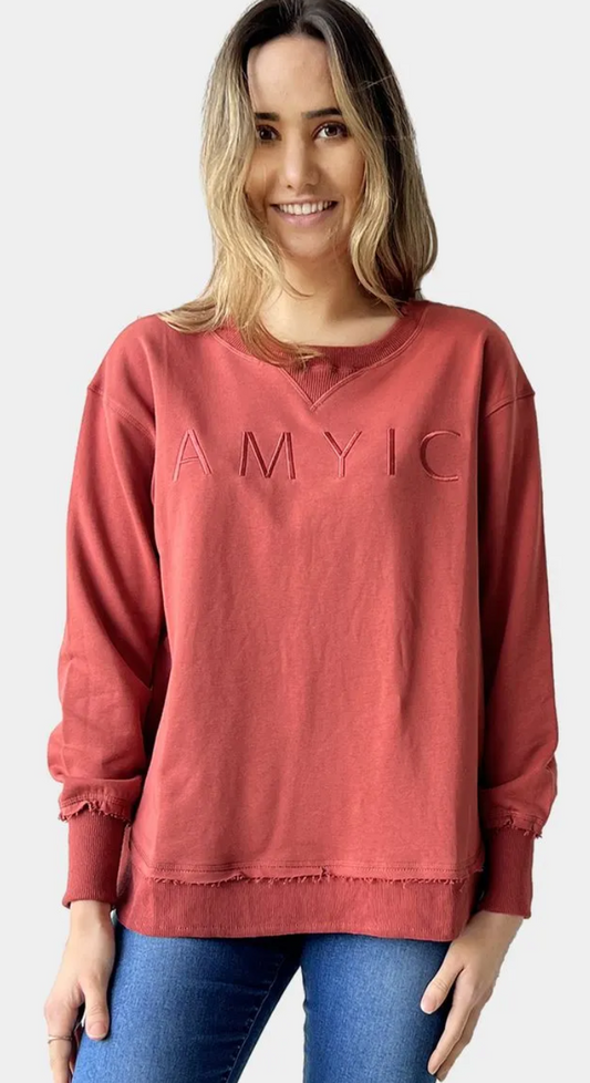 Amyic Embroidery Sweatshirt